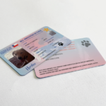 Carnet de Mascotas