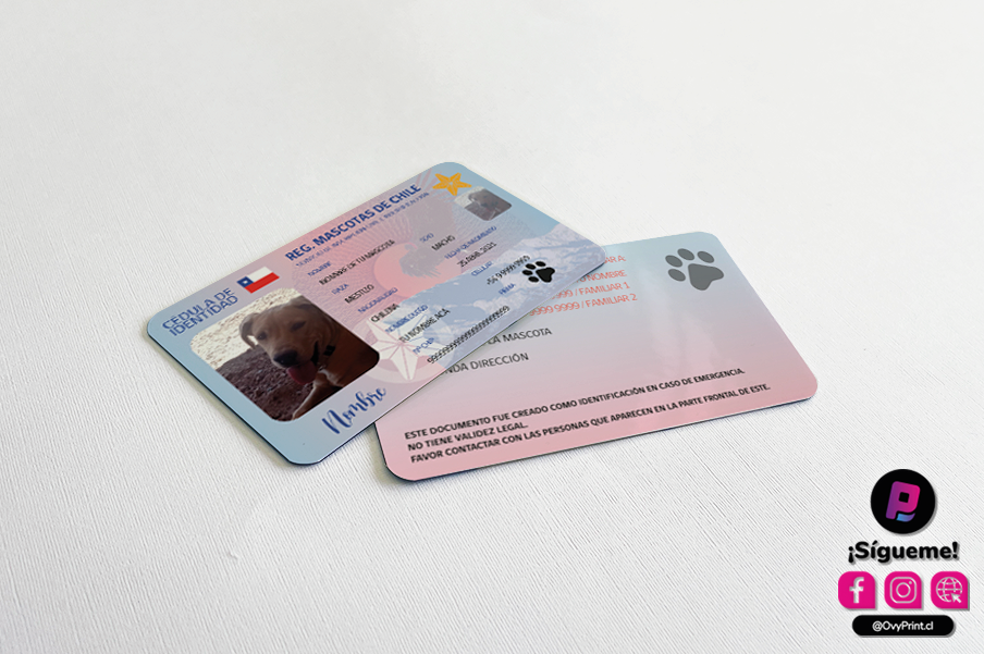 CARNET-DE-MASCOTAS