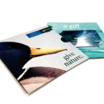 Pack Gift Card + Sobre y Tarjetón